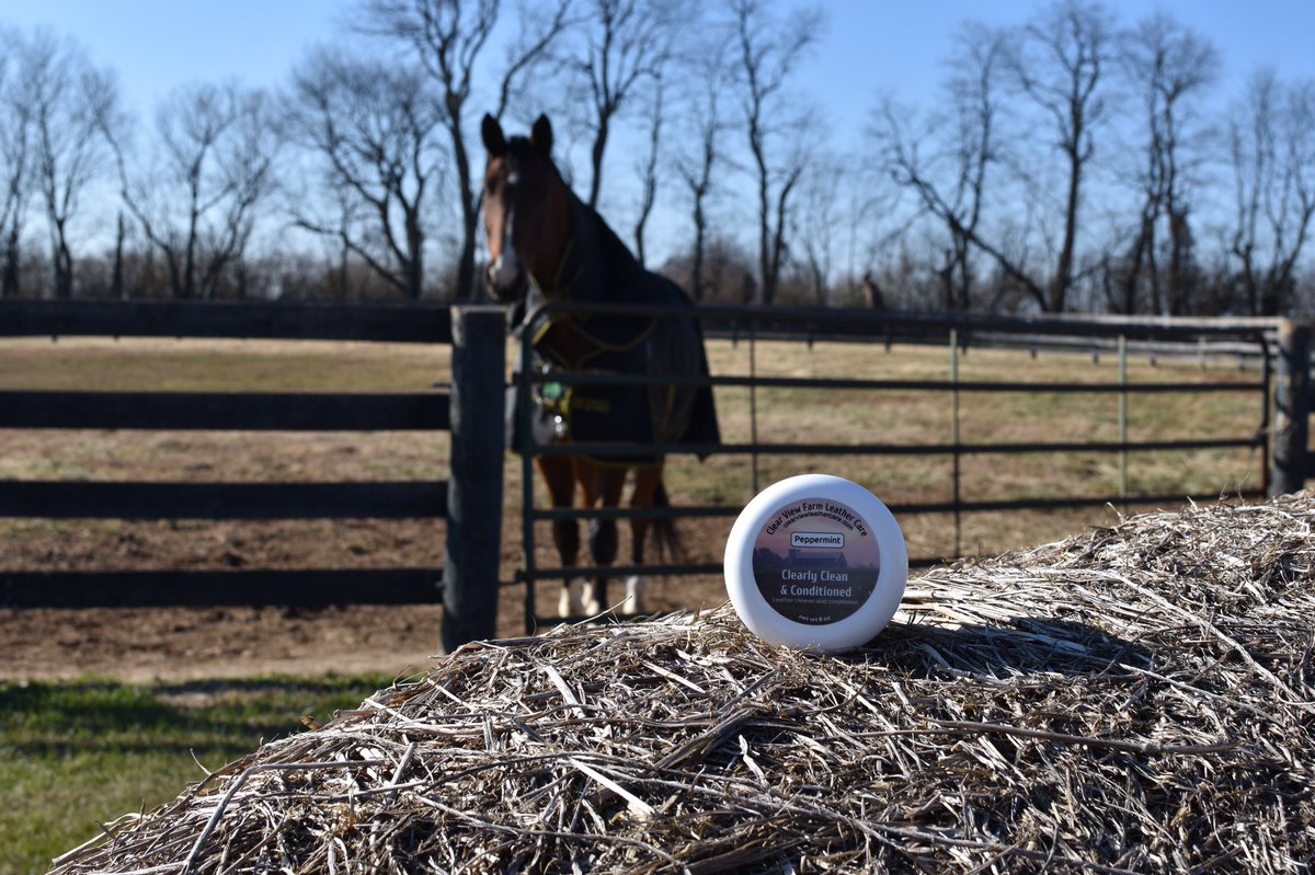 CVF_LeatherCare's tweet photo. April showers ☔️ bring a lot of mud and dirt. 🤦🏽♀️ Keep your tack nice and shiny with #ClearlyCleanAndConditioned 👍🏼 It smells great too! 🐎❤️ #Regan #ClearViewFarmLeatherCare #ClearViewEquestrianCenter #leathercare #Peppermint #equestrian #tack #eventing #dressage #showjumping https://t.co/u9laFQjTR7