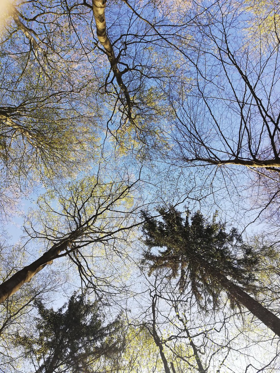 4800scarlett's tweet photo. Einfach mal die Seele baumeln lassen.
#eifel #sunnesching #family https://t.co/XJM8VPxXlw