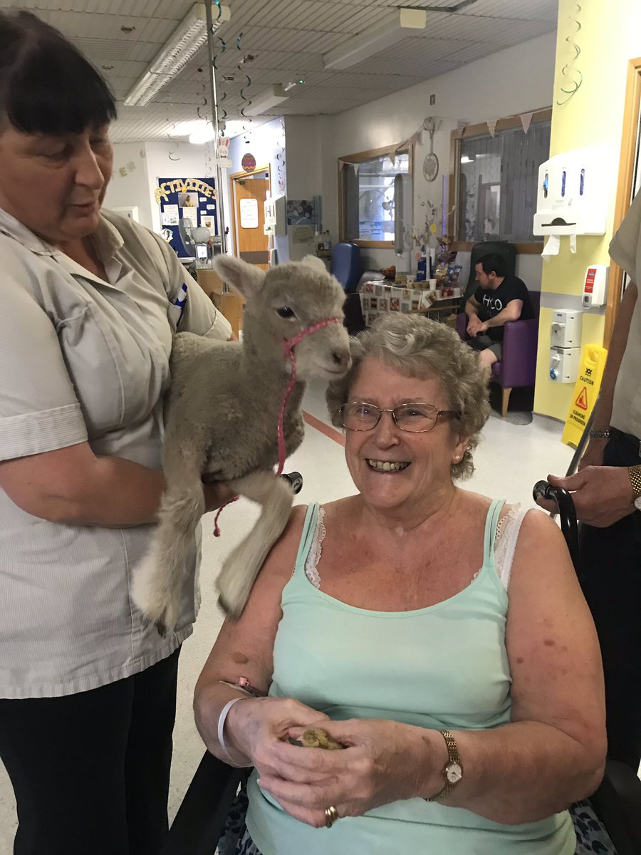 <a href="/hayleypeters/">Hayley Peters RN</a> <a href="/caroline_upton/">Caroline Upton</a> <a href="/emmabeedell/">em🦋</a> Eliot have had lamb and quail chicks