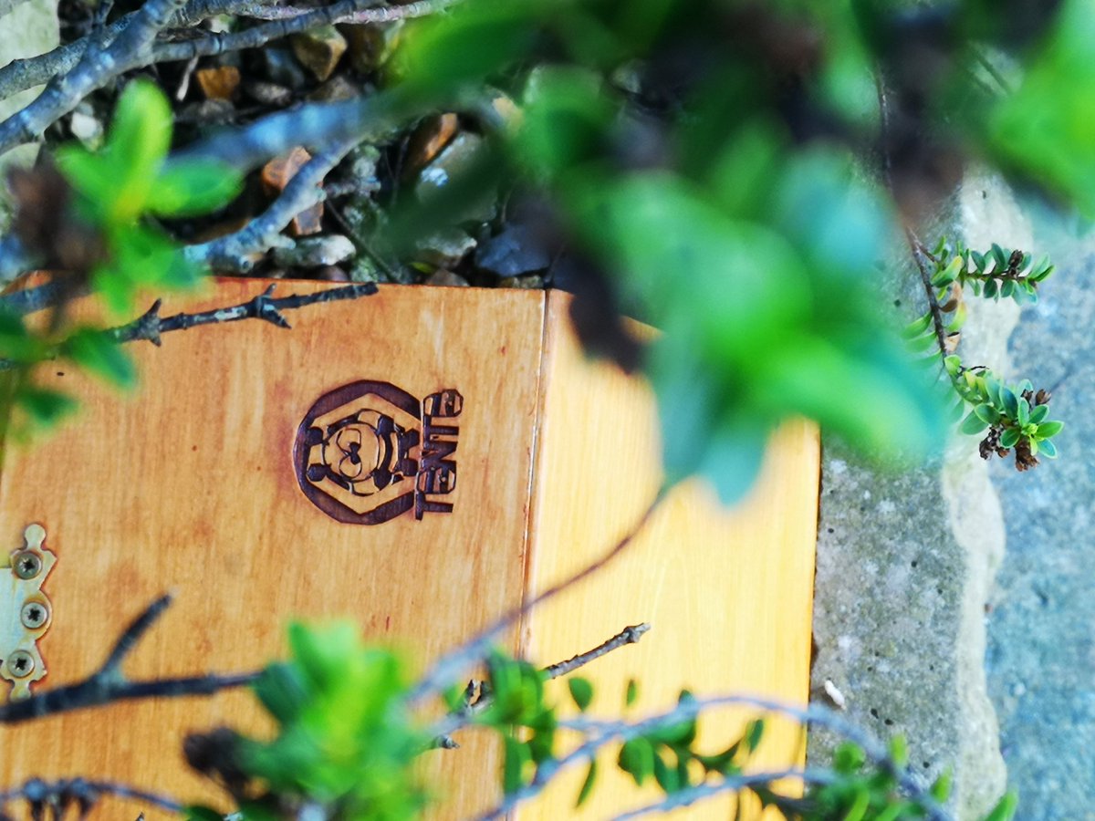 ToBeeNotToBeeYe's tweet photo. As the weather is starting to get warmer our Sales Director Caitlin has put out her BeeBox ready for the summer, remember to share your BeeBox with us!
Remember that in the heat bees can get exhausted easily so sugary water is their best friend 🐝🐝 https://t.co/Bux0SNykli