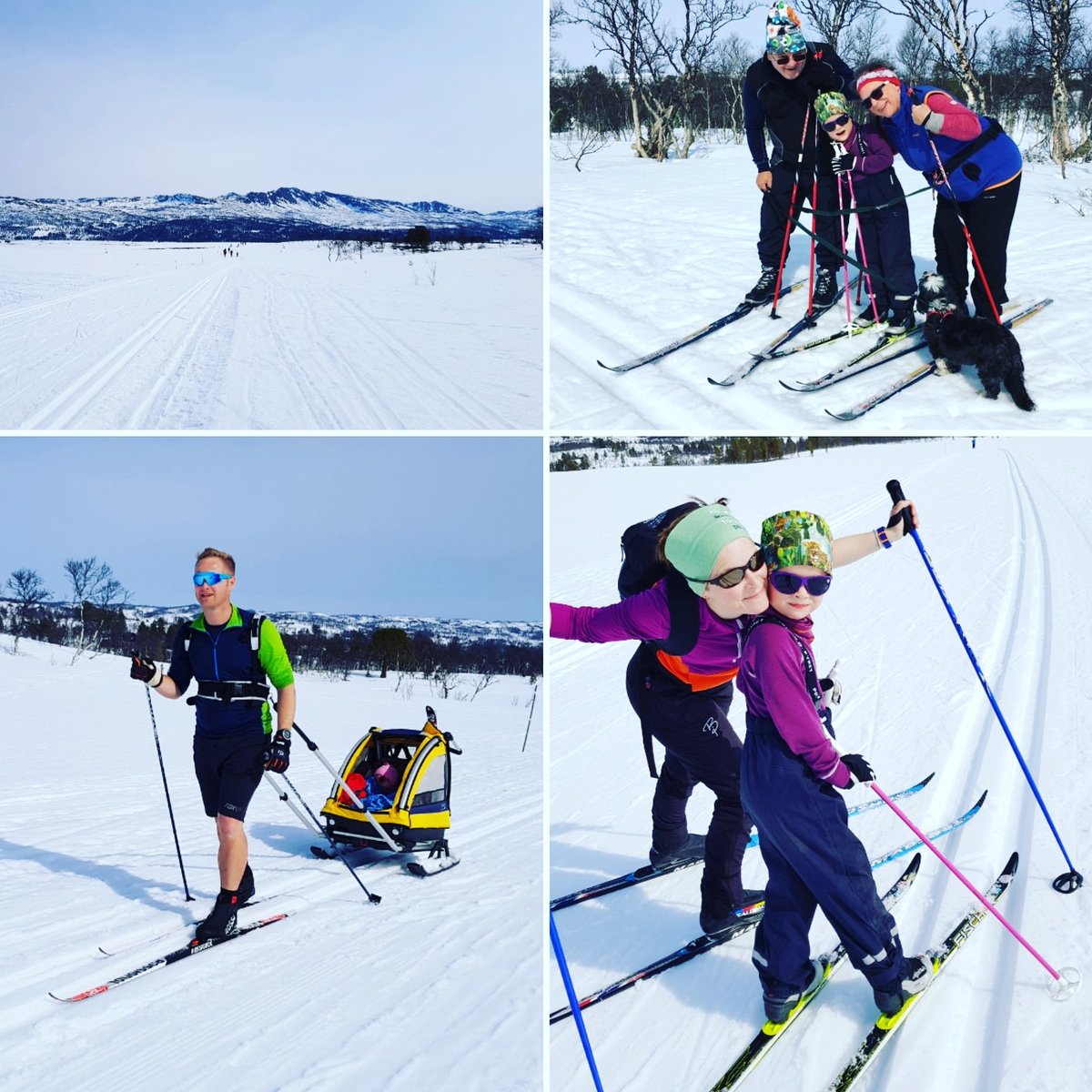 Craig_R_Jackson's tweet photo. Just another average day in the Norwegian mountains... 😎 https://t.co/yNVU5rCRhL