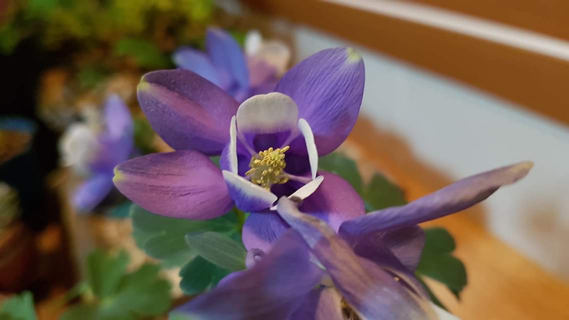 마음은 당신이
마음과 대립하려 할때만
싸운다.
당신이 인내심을 발휘하고
마음이 벌이는 싸움에
의식을 집중하면 마음은
평온해진다.
그렇게되면
당신은 자신의 의식을
호흡이나 몸에 다시
집중할수있게되고,
마음은 당신의 명상 대상에
대해 호기심을 느끼기
시작할것이다.
「기적의명상치료」중에서