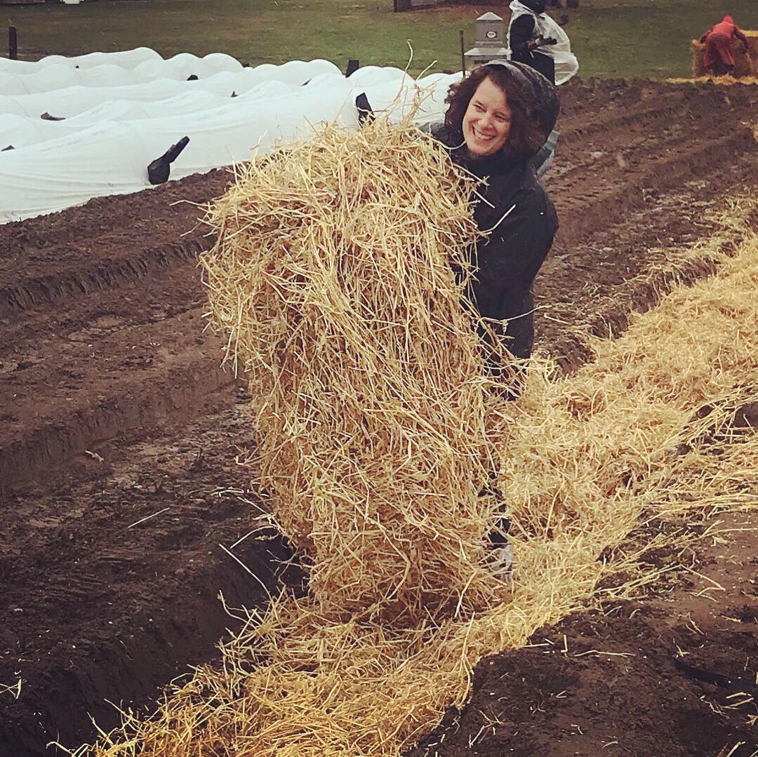 MassService's tweet photo. #FlashbackFriday to the MA Service &amp; Volunteerism Day and #NationalVolunteerWeek service project at Sharing the Harvest Community Farm in Dartmouth! A few raindrops didn’t stop our CEO Emily Haber from helping to prep the farm for spring planting. 🌱🌾 #NVW #AmeriCorps https://t.co/FDMdy5BQTa