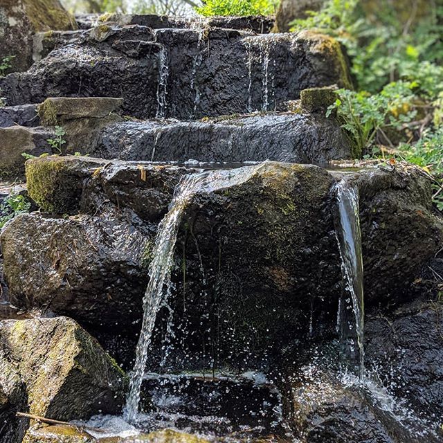 headley_morris's tweet photo. Roskilly's farm in Helston, Cornwall. #nature #naturephotography #amaturephotographer #shotwithgooglepixel2 #googlepixel2 #photosbygooglepixel #zen #waterfall https://t.co/2K5eyKN0Jd
