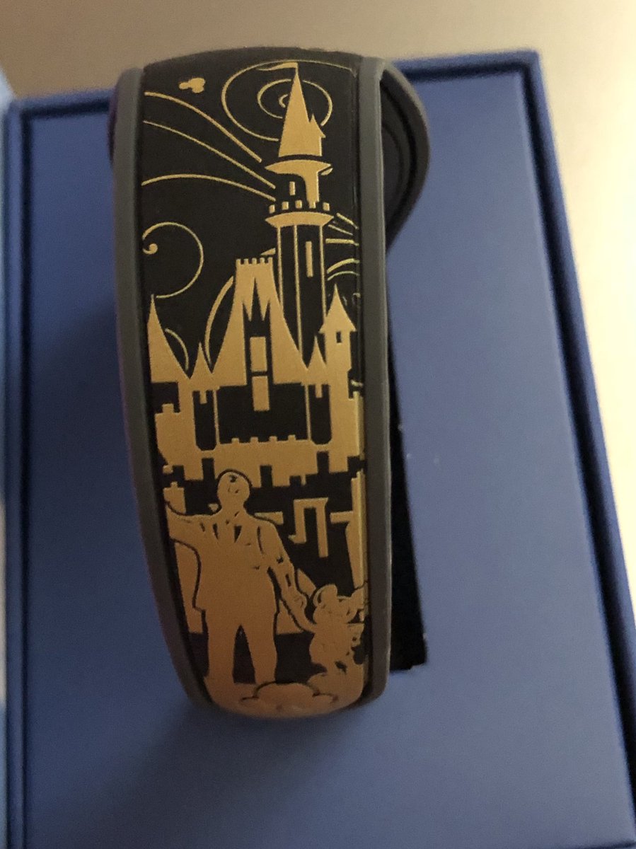 MedNotesCoinBoy's tweet photo. @DisMagicBands Do you have any insight on this Magic Band? It came from a cast member. I couldn’t find anything about it online. https://t.co/u0lqOzCwB0