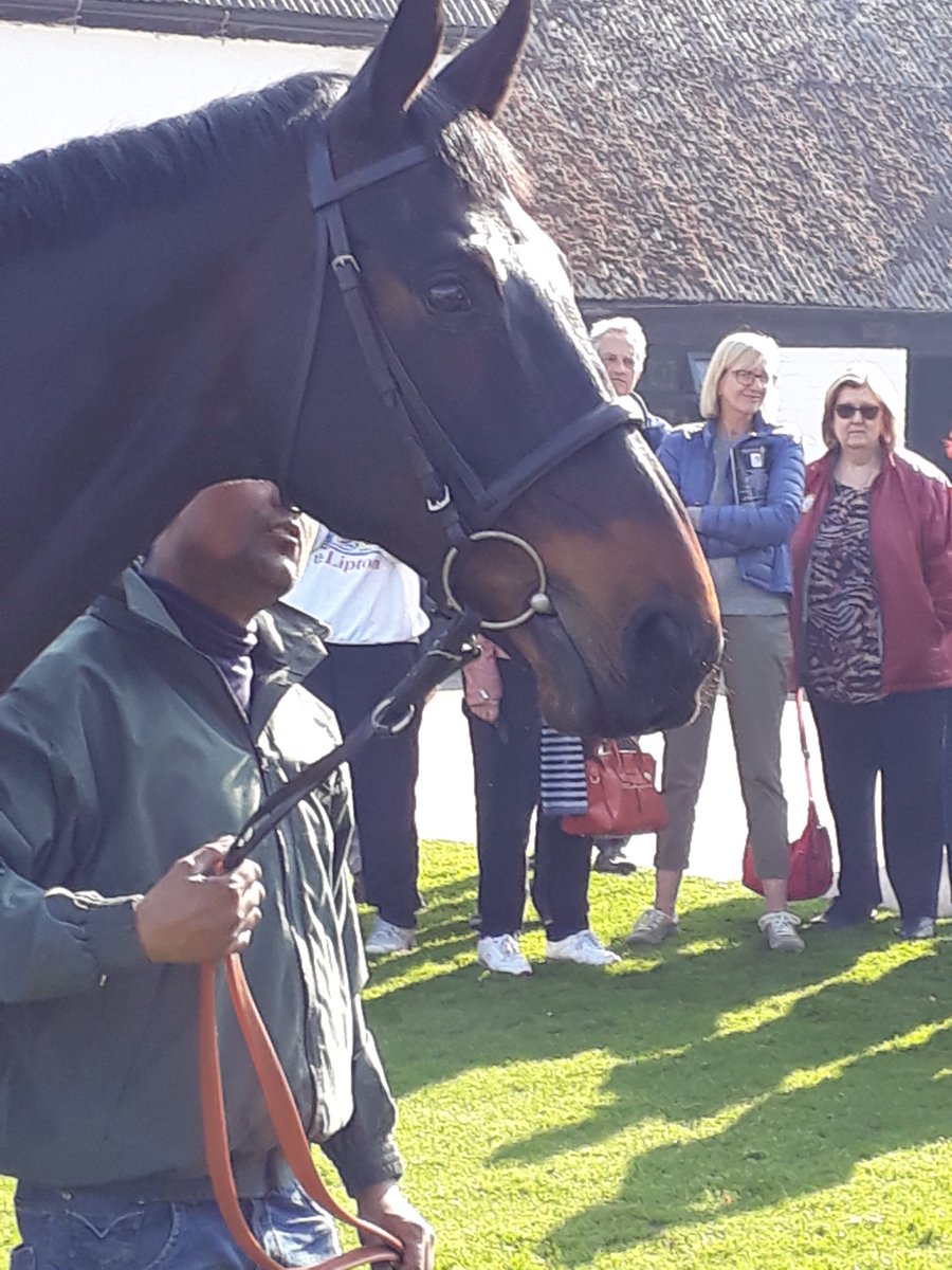 BarneysArmy's tweet photo. Fantastic day with @Bookworm1740 and met these legends of the turf @LambournOpenDay #sprintersacre #altior #mitebite https://t.co/WJOC4YWTDH