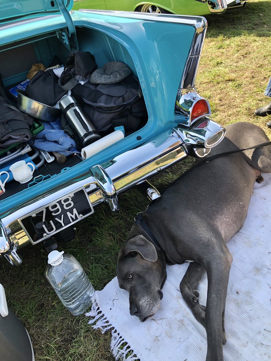 “you ain’t nothin but a hound dog “