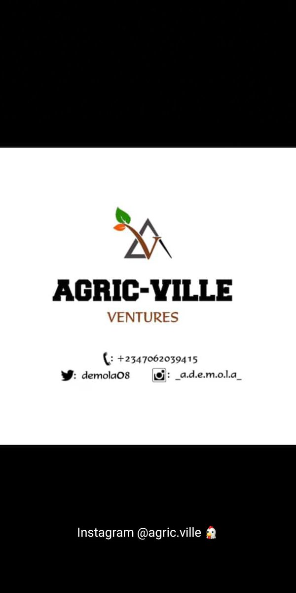 demola08's tweet photo. The pictures are speaking.. 🚶‍♂️ 🐔 https://t.co/7LnEPFLKE5