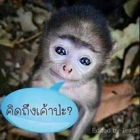NNaphuthon's tweet photo. @Nannyja8 https://t.co/cxP7O6K2rO