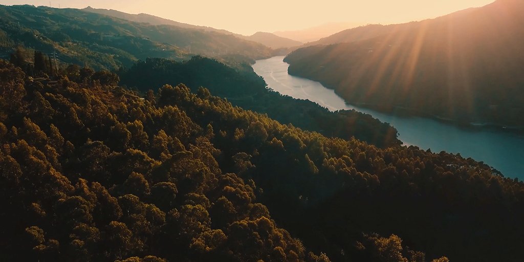 MorganStanley's tweet photo. What if after we finished using a plastic bag, we could retain the value of its materials in our economy? Our Institute for Sustainable Investing thinks we can. Learn more: https://t.co/59eOXXgifM https://t.co/qQmaEsAeox