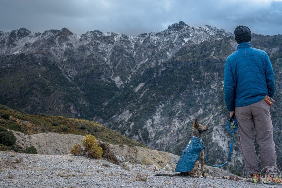 Leave No Trace Principles with a Dog longhaultrekkers.com/leave-no-trace…
