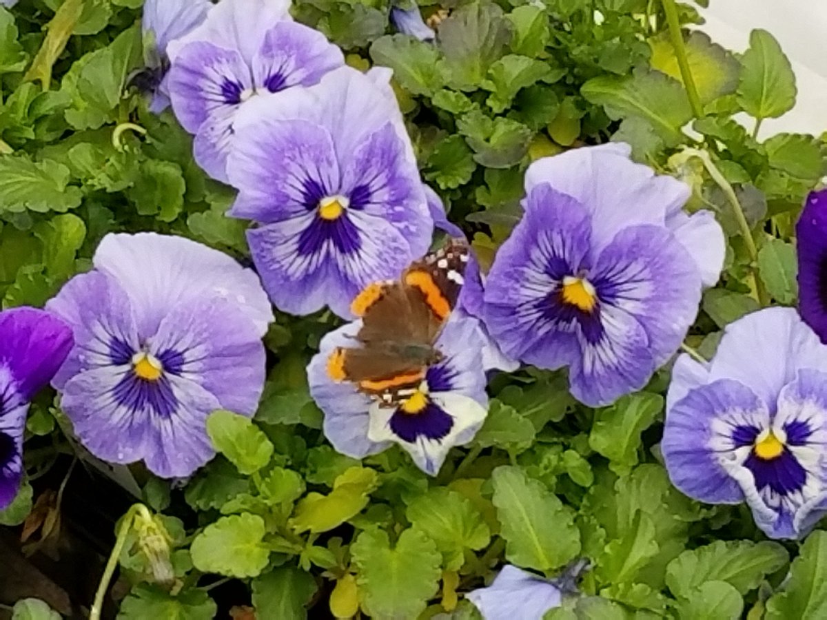 Spring has officially sprung at 2718! This little guy says time to get pumped!