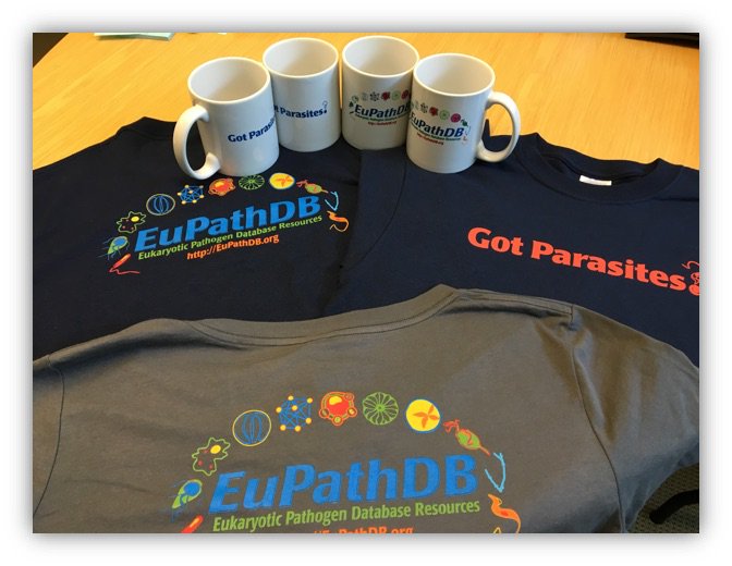 veupathdb's tweet image. It’s that time of the year again! Announcing the #TriTrypDB #usercomments campaign starting now and running through #KMCB19. Enter one comment and pick up a “Got Parasites?” Mug at our booth, top ten get a T-shirt. Not at the meeting? Ask a colleague to pick up your mug