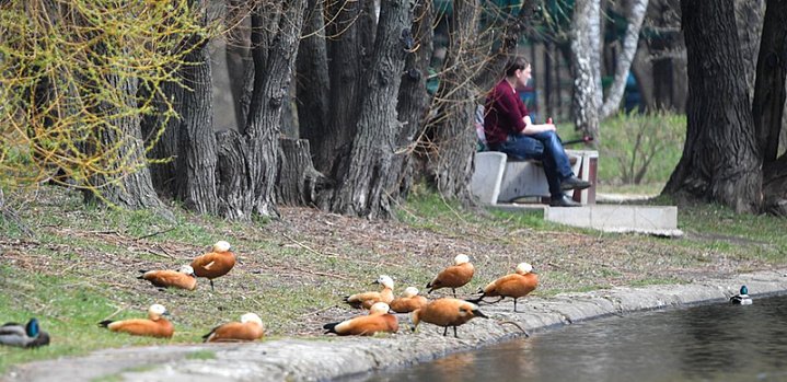 🌞Очень приятный прогноз погоды: на следующей неделе в Москве потеплеет до плюс 25

Специалисты центра погоды «Фобос» сообщили, что предстоящие выходные станут «переломным моментом в развитии атмосферных процессов в Центральной России». 

Подробнее: bit.ly/2UrdDZs
