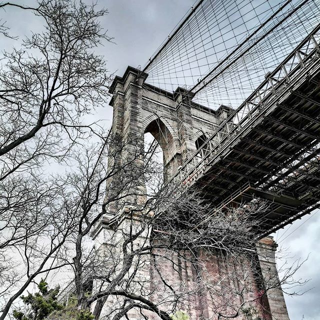TawheedMM's tweet photo. Brooklyn Bridge Park.
.
.
#unknownperspectives#architecture#spring#cityscapes#nyc#newyork#newyorkcity#travel#landscape#huawei#huaweip30pro#brooklynbridge#Brooklyn https://t.co/2UgE8Ouneb https://t.co/AgNCDYcmmY