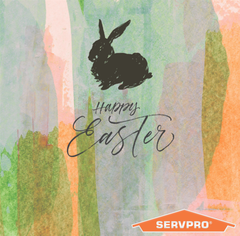 Hoppy Easter from SERVPRO® of Pike, Floyd, &amp; Knott Counties!

(P.S. Just in case you missed it, head to our Facebook page to see our eggggscellent take on surprise egg videos!)