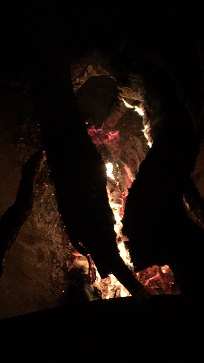 Nice fire going, having a laugh, what more could we ask for 🔥 <a href="/TheGathering__/">Network Gathering</a>