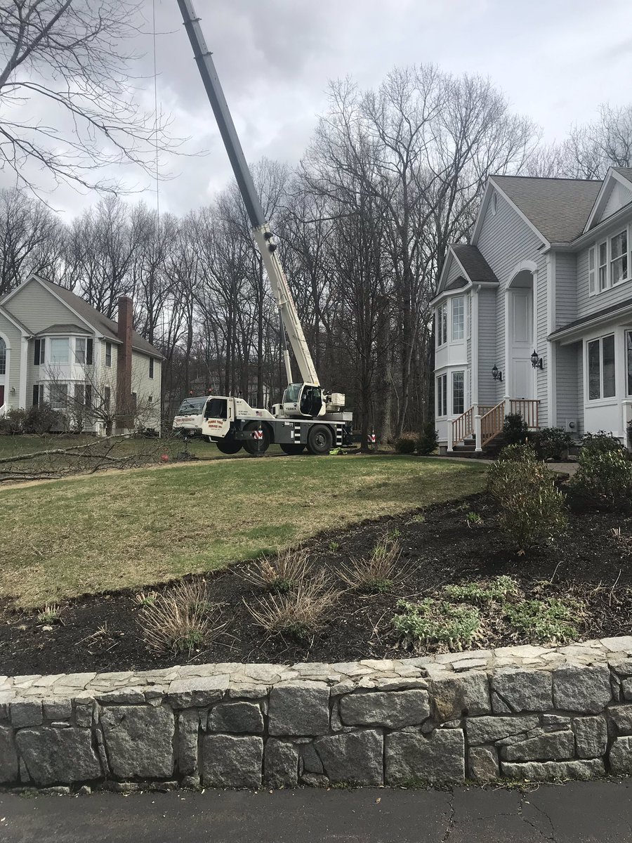FerrisTreeSvc's tweet image. Working in North Andover today removing some large Oak trees from behind the house