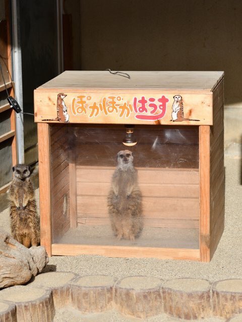cana__yang's tweet photo. #ROCKUP21 おつかれさまでした🌟毎度ナイスパーティー! https://t.co/yxt1cOcA7k