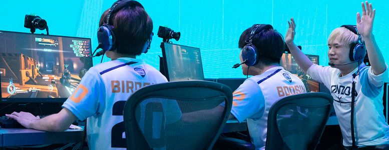 Overwatch-Bets.com tweet media