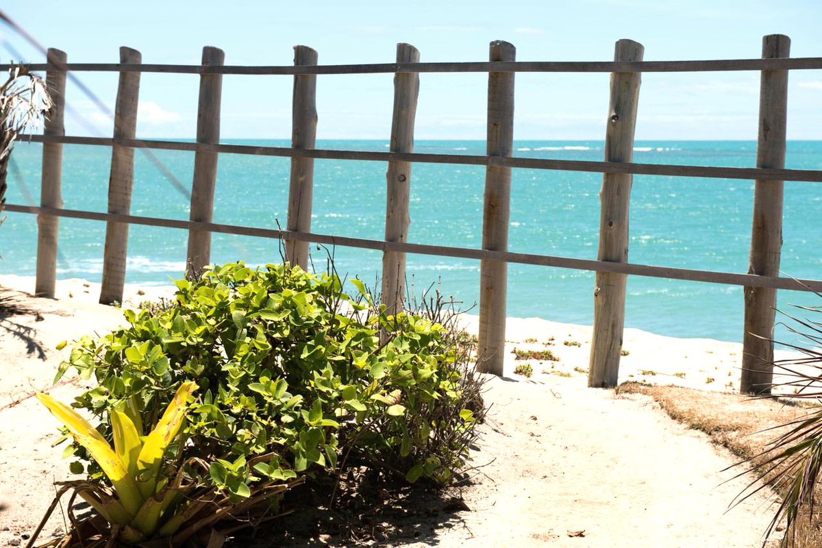 BeePlusHive's tweet photo. Is it a day off for you today? How would you like to be at @pousadatutabel, in Brazil, to enjoy this view?
•
•
•
#sustainabletravel #sustainabletourism #sustainability 
#easter #fridayfeeling #beeplushive https://t.co/eSCaRgCvV4
