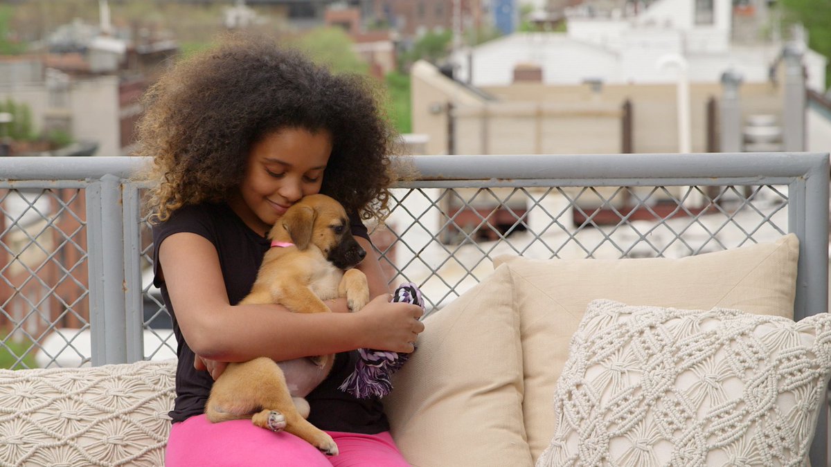 TurfMutt's tweet photo. ICYMI - Tomorrow, on @ReadySetPet  as part of @CWMagnificent, model, Denise Bidot is surprising her daughter Joselyn with her first four-legged friend. Tune in to get a tip from Lucky the TurfMutt. #LivingLandscapes https://t.co/fg9JeplE12