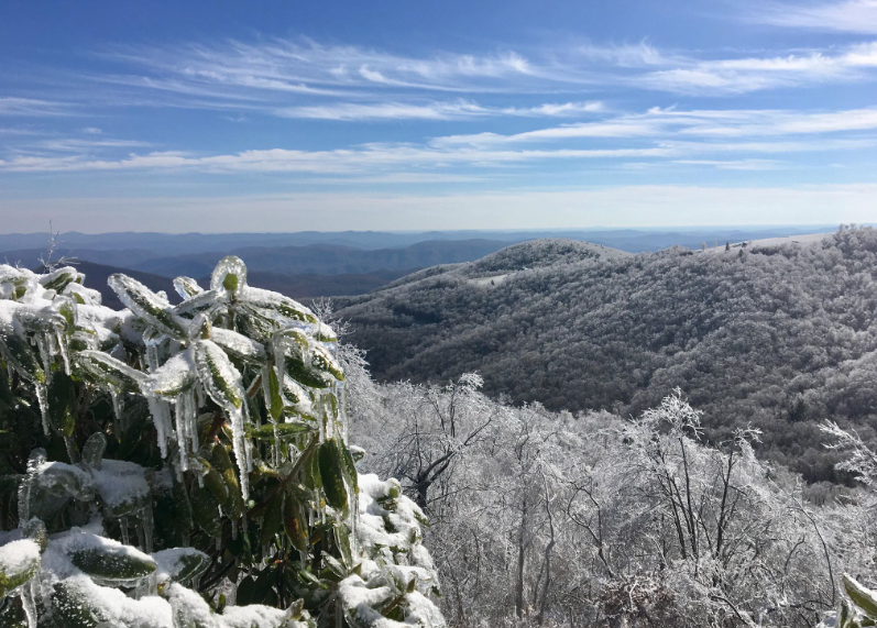 The problem with Deerwood Retreat?  Snowy or Sunny?
#mountainvacation #vacationrental #amazingview #dreamvacation #appalachianmountains #northcarolinaliving #beautifulhomes #luxuryhomes #realestate #architecture #rentalhome