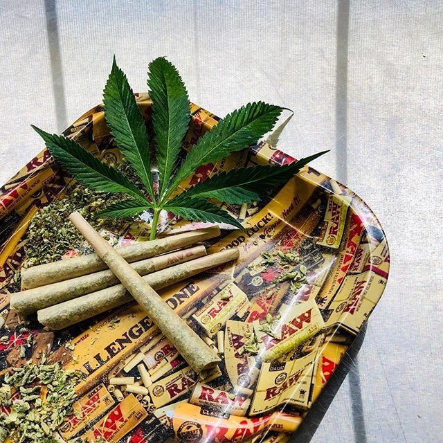 Make your 420 🔥🔥🔥. Dropping two new strains, a special collab with <a href="/christymack/">Christy Mack</a> and more! Check <a href="/weedmaps/">Weedmaps</a> or <a href="/leafly/">Leafly</a> for more info.
.
#BCCCollective #bluecollarcriminals #BCC #wesmokedifferent #oklahomafarmers #hydroponics #hydroponicgrowing #localfa… bit.ly/2DofecR