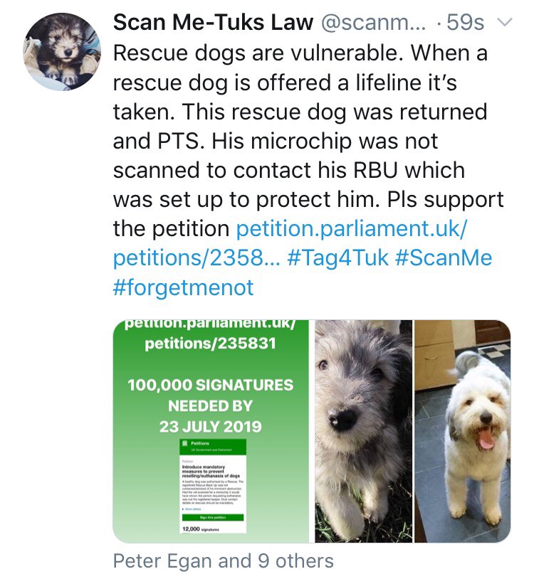 scanme_tukslaw's tweet photo. Pls support our petition. Tuk was sold on gumtree to a totally unsuitable home. Returned to a rescue and destroyed. Not his fault 😡 no one scanned for his chip. No one saved him. Why was he not scanned? https://t.co/Vh5UTIqSQB #Tag4Tuk  #EasterBankHoliday #takeabreakfrombrexit https://t.co/j5CDOCwIvT