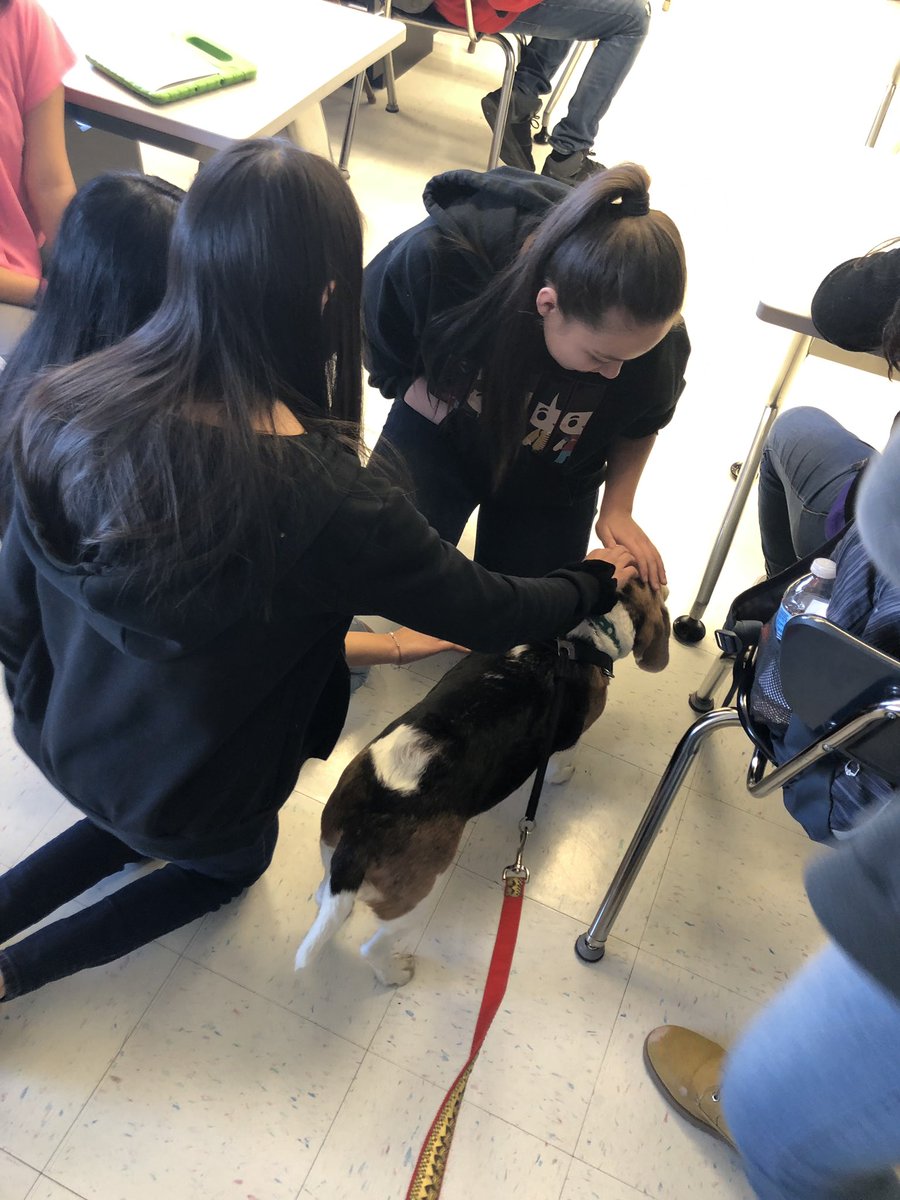 Blankets and snacks were delivered to Fetching Tails Foundation this morning. These were all made by 90+ students during the 3rd quarter PBIS celebration. They will benefit the many dogs FTF takes care of until they find their forever home ❤️🐶🐶 @ITSjBoggs  #asd4all #itbebrave