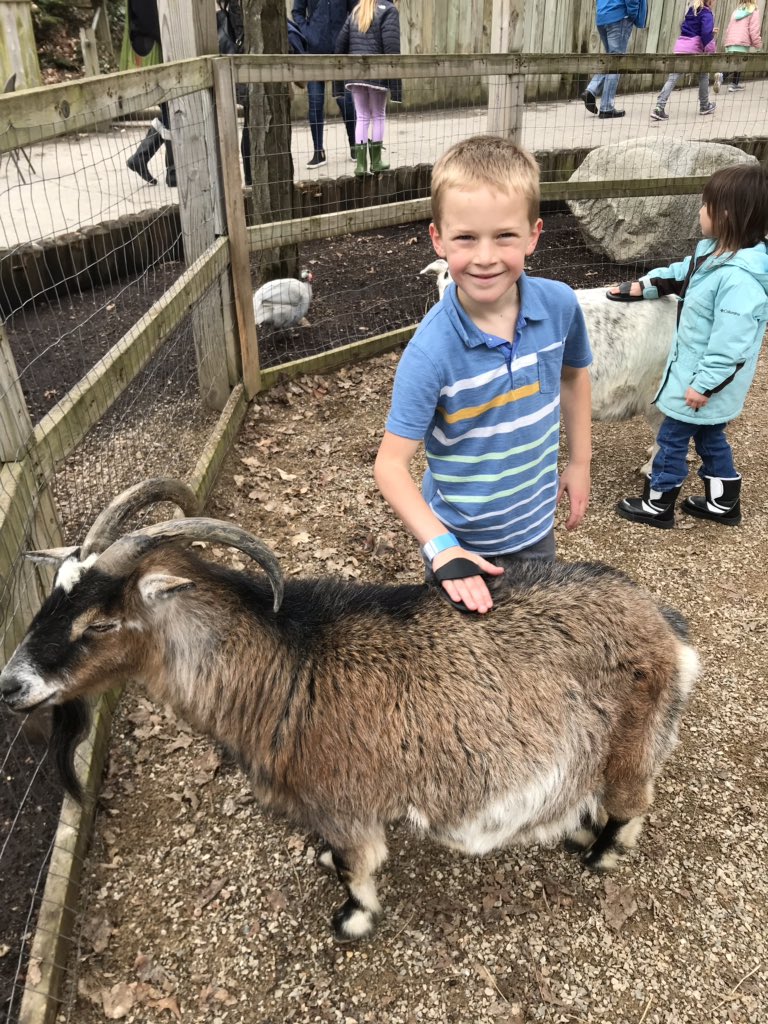 Sheiladokter's tweet photo. Thankful for a remarkable day of learning! #HCmaroons #JohnBallZoo #PauseToPraise #FirstGrade #Creation #LifeScience https://t.co/jQErCRt0ET