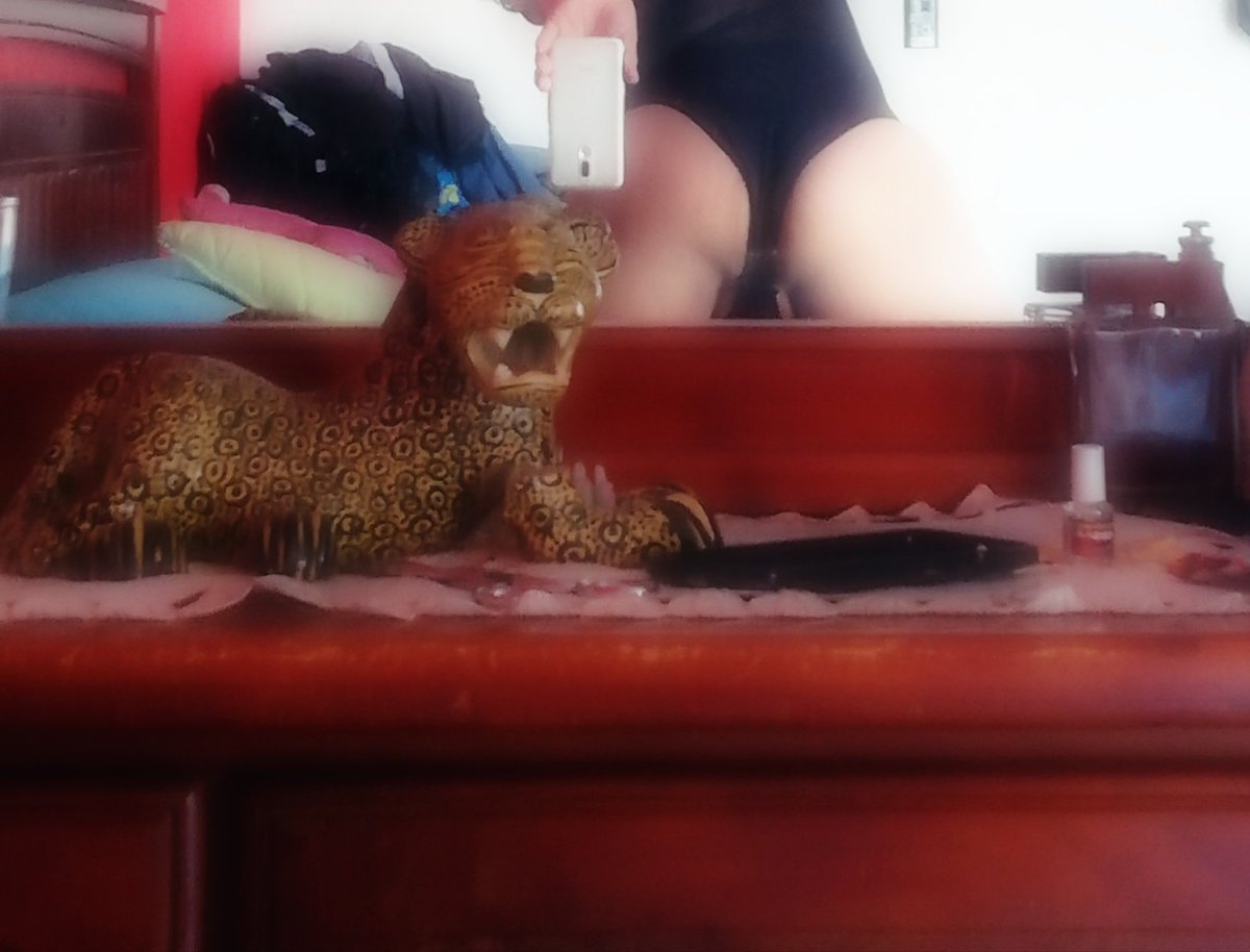 Barbara30262363's tweet photo. Quieres? RT 5578921131 yo TV de closet #DinámicasSexoxas #xxx https://t.co/kQyNouScD2