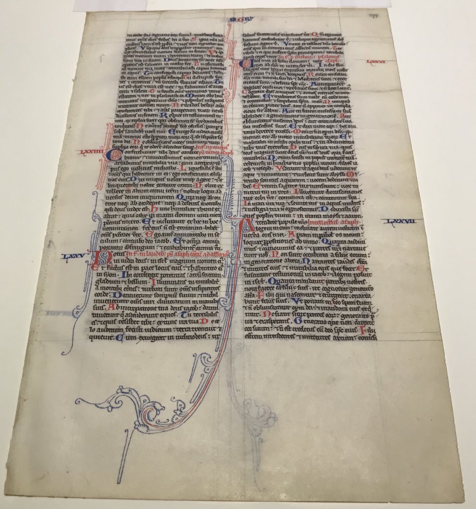 Hope rewarded! I landed 2 more folios from the Hornby-Cockerell Bible, the early-13th century transitional Bible MS I’m reconstructing! (I’m just a bit excited about this!) Here’s a pic of one. #mssfragments
