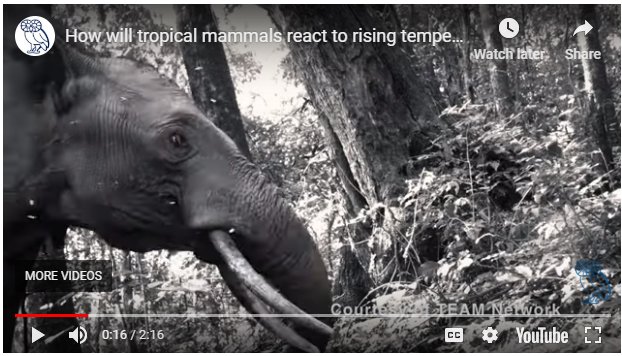 UMichiganNews: RT UMichEEB: Former EEB postdoc Lydia Beaudrot RiceUniversity is lead author of GEB_macro paper, 1 of 1st studies to show how tropical mammals react not just to rising temps but also changes of other species-predators, prey, competitors #C…