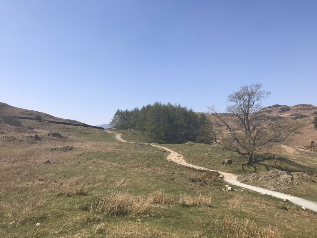 AscendRuns's tweet photo. Our favourite National Park was in fine form today ⛰☀️😍 #FivePasses #LakeDistrict https://t.co/rAJjm9GKVg