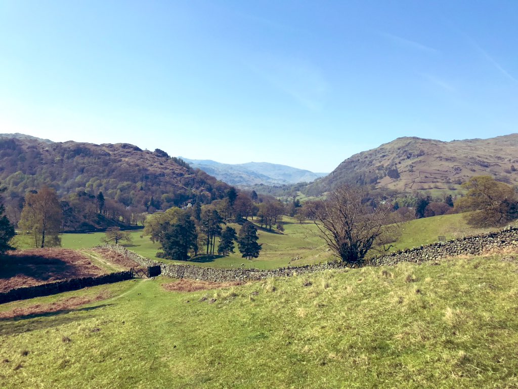 AscendRuns's tweet photo. Our favourite National Park was in fine form today ⛰☀️😍 #FivePasses #LakeDistrict https://t.co/rAJjm9GKVg