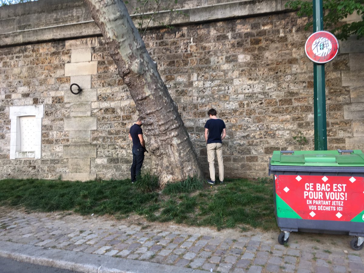 benoitlasbats's tweet photo. ⁦⁦@mairiedeparis⁩ : s’il vous plaît, installez des WC ou verbalisez ! Les quais deviennent des toilettes à ciel ouvert ! https://t.co/bG9S1jzxwJ