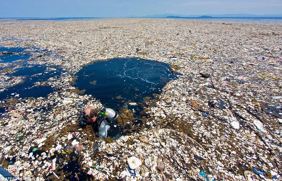 Image result for great pacific garbage patch