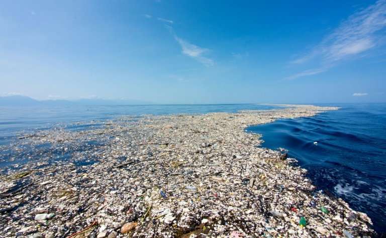 Did you know that the $1Billion +  that has been donated to Notre Dame would be enough to clean up all of the Great Pacific Garbage Patch?
