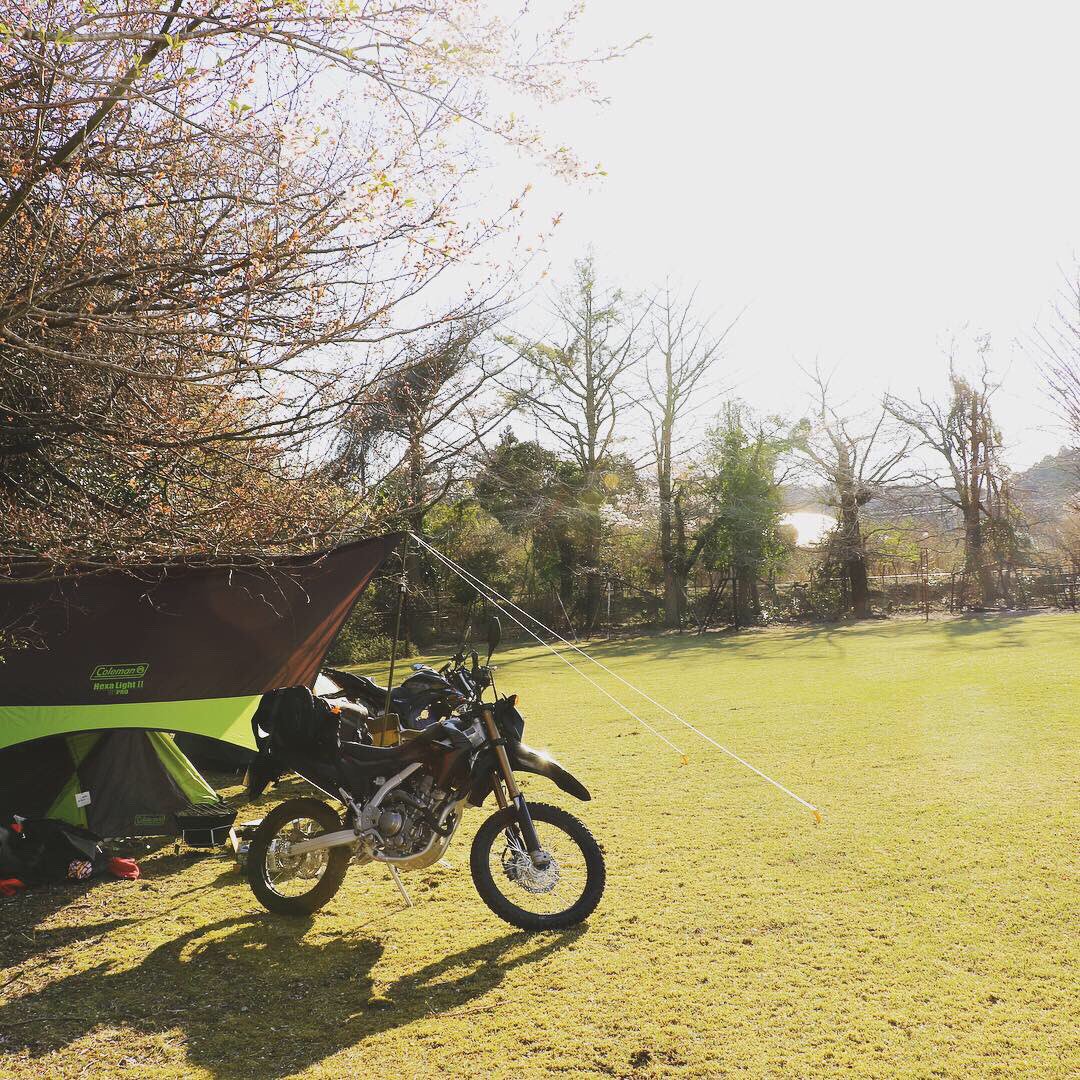 hiroreptile7's tweet image. 今度オープンする予定のキャンプ場のお手伝いついでにキャンプさせてもらった！！