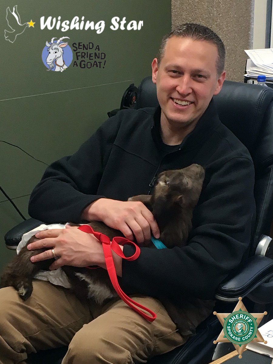 Undersheriff Dave Ellis “Goated” by the ‘09 @SoundersSpokane Girls #Soccer Team, which he coaches, to support <a href="/WishingStarFdtn/">Wishing Star</a>.  Thank you #Girls for the smiles &amp; support of #WishingStar!  😀

#SCSO #Spokane #SpokaneValley #WAYouthSoccer <a href="/SpokaneShadow/">SPOKANE SHADOW</a>  #GOAT <a href="/SCSOAir1/">Spokane Regional Air Support Unit</a>