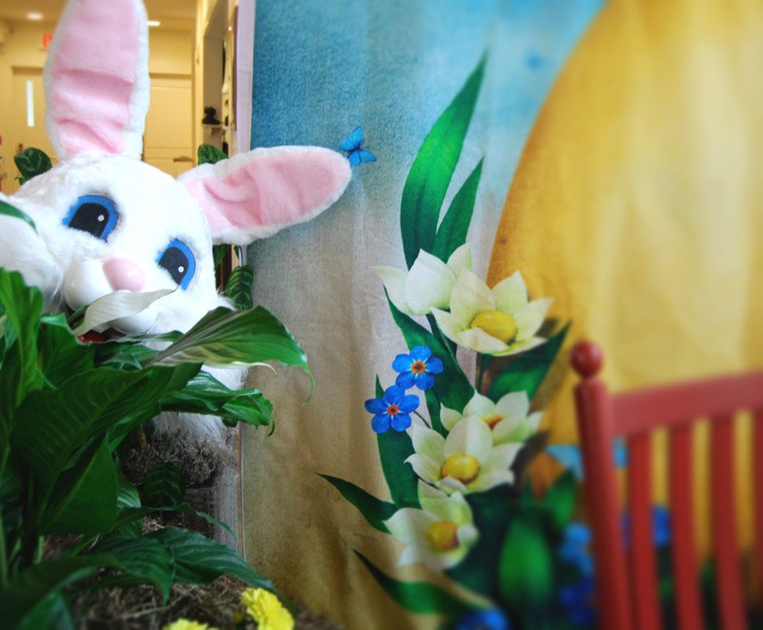 Guess who's in town?

The Easter Bunny is excited to see everyone tomorrow morning and host our annual Easter Egg Hunt! We'll see you there.

#QuecheeLife #BreakfastwiththeEasterBunny

.
.
.

*Please note our Breakfast with the Easter Bunny event is sold out*