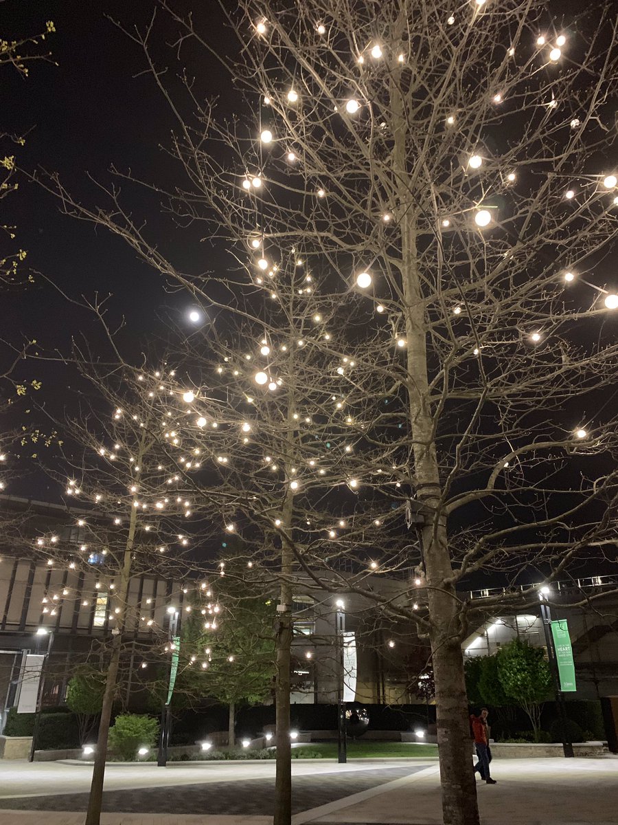 Wishboneinfo's tweet photo. Finally found time to add some new photos!  Been working, working, working, now time to enjoy the long weekend!! White City, London. #wishboneexteriorlighting #brantonbamford #lighting #lightingdesign #exterior #exteriorlighting #landscapelighting #london #landscapearchitecture https://t.co/mbgaiY5gTs