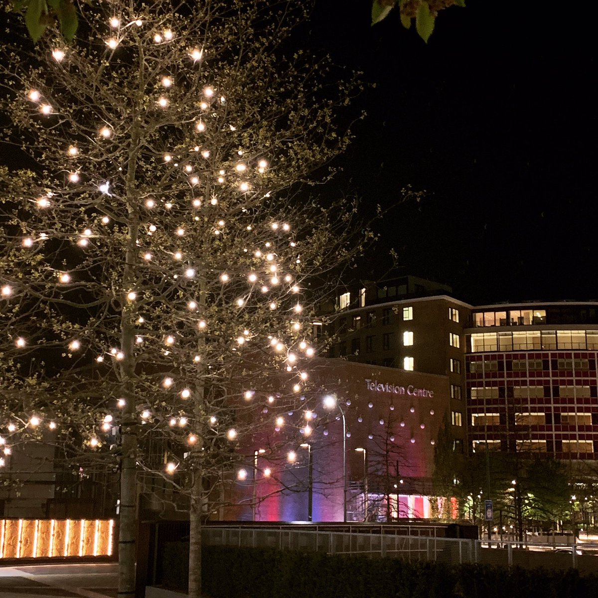 Wishboneinfo's tweet photo. Finally found time to add some new photos!  Been working, working, working, now time to enjoy the long weekend!! White City, London. #wishboneexteriorlighting #brantonbamford #lighting #lightingdesign #exterior #exteriorlighting #landscapelighting #london #landscapearchitecture https://t.co/mbgaiY5gTs