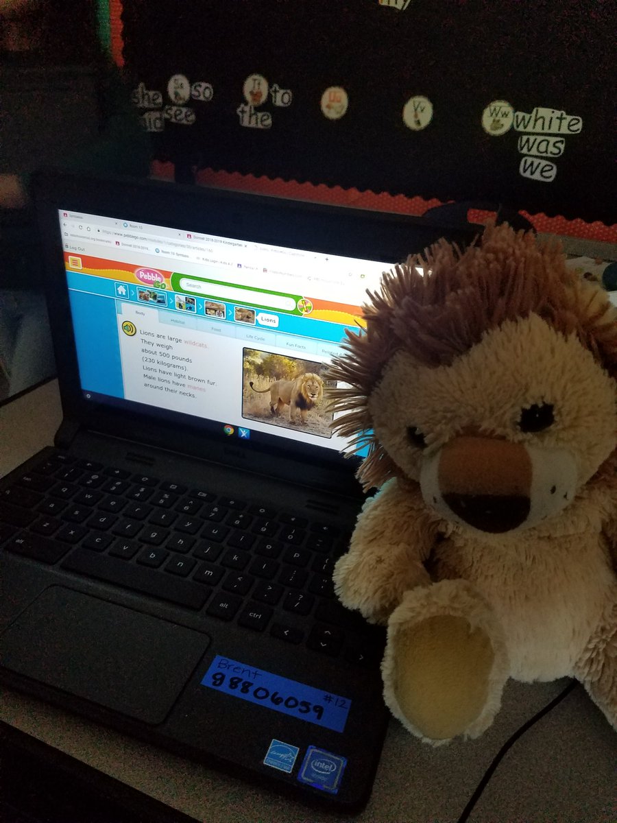 Donnellgiggles's tweet photo. We started our ABC Countdown Review today...A is for Animals-we learned all about chickens, made baby chicks &amp; Ss researched their stuffed animals they brought. We also graphed and ate Jelly Beans! #FunFriday #BearsDeserveIt @RandallBears #KidsDeserveIt https://t.co/Nn54xnHJtr