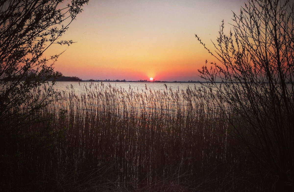 Sunset an meinem Lieblingsort. Dazu ein paar Oliven und ein Gläschen 🍷. Und nur die Gänse und ein paar Möwen machen Geräusche. Ansonsten Ruhe...
Genießt alle dieses tolle Osterwetter, wo immer ihr auch gerade seid.
#Frieslân #sailing #sailorslive #travel