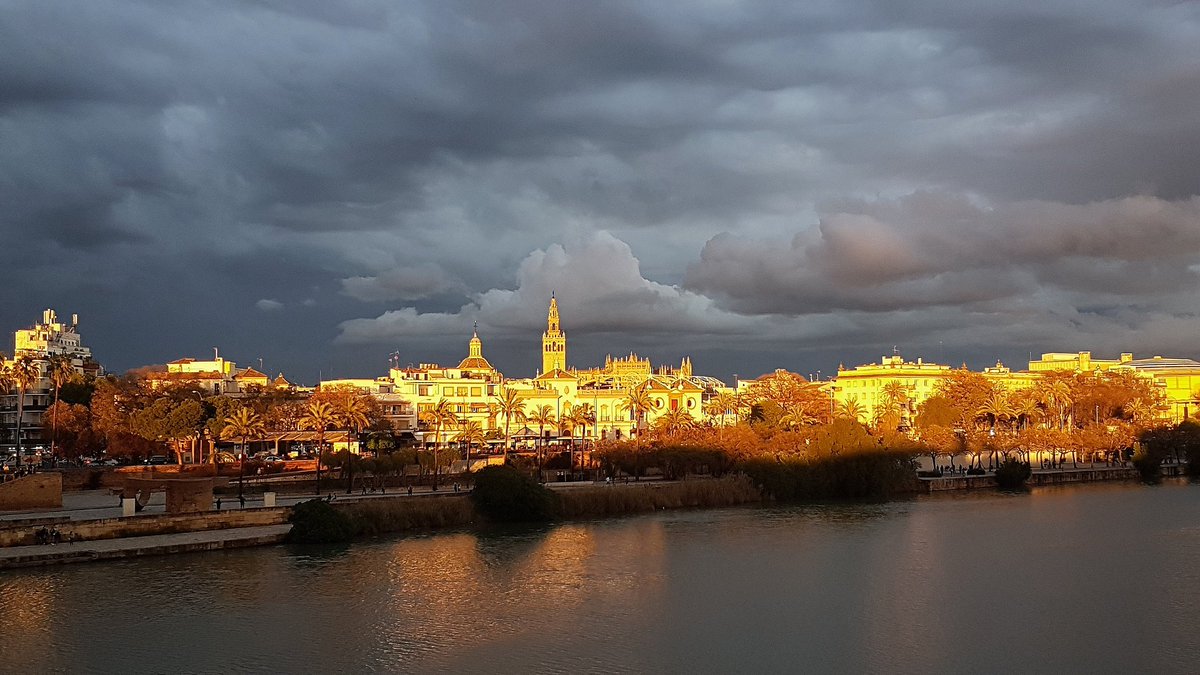 Ana_Saavedra_'s tweet photo. Sevilla sabe que es mi cumpleaños y me ha querido regalar ésta estampa. Como nunca la había visto. La puesta de sol la ha dejado con ésta luz.
Maravillosa. https://t.co/oqK4Oqnv1K