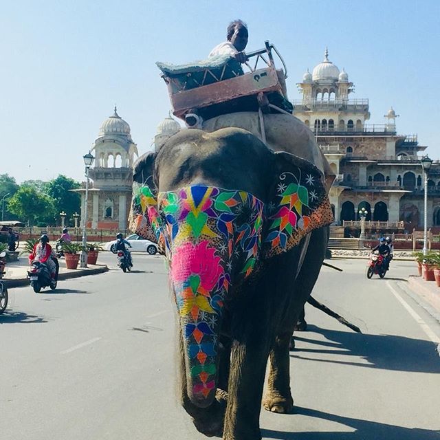 Bebenube's tweet photo. En Jaipur puedes encontrarte maravillas así por la carretera 🐘 #jaipur #india #indianelephant #indiantravelblogger #traveladdicts #amoviajar #india_gram #backpackers #nofilter https://t.co/AMUPJAzehE https://t.co/BhuyQ9baT7