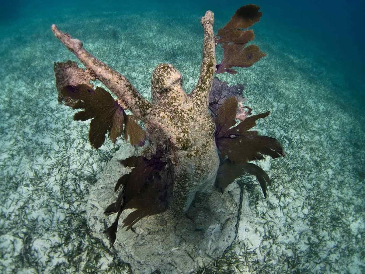 AaltoExplorer's tweet photo. .@MUSAmuseo, the #underwater Museum of Art, exhibits the sculptures built from special materials that promote coral reef to grow on. The museum also reduces #overtourism of the Manchones natural coral reef. 

#aaltoexplorer #ocean #Conservation #oceanexploration #AEexpedition https://t.co/biCldUtKxG