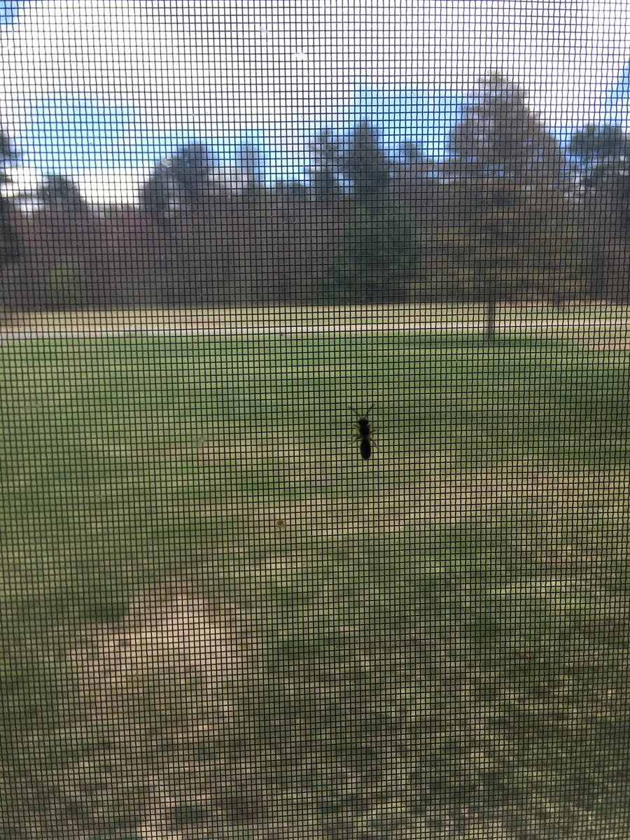 #stonehillbiodiversity